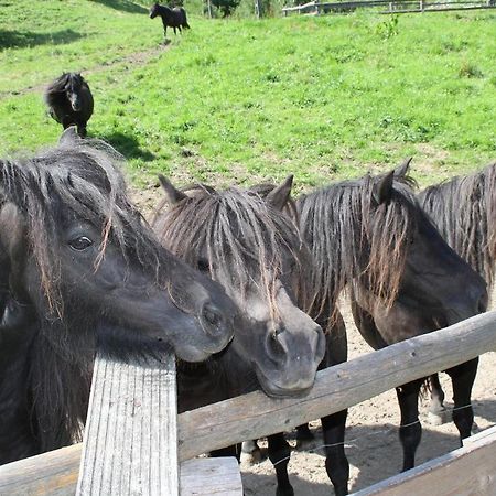 Rezydencja Lesny Dwor Piwniczna-Zdroj エクステリア 写真