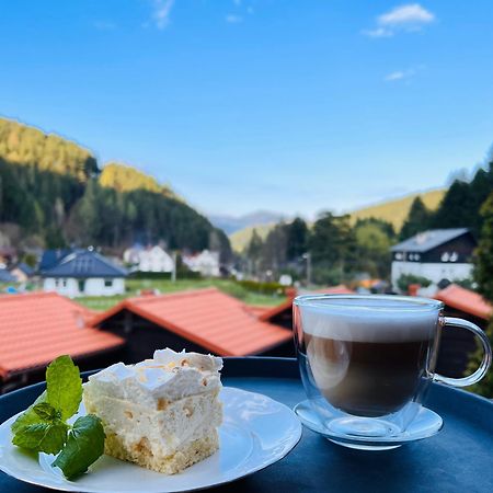 Rezydencja Lesny Dwor Piwniczna-Zdroj エクステリア 写真