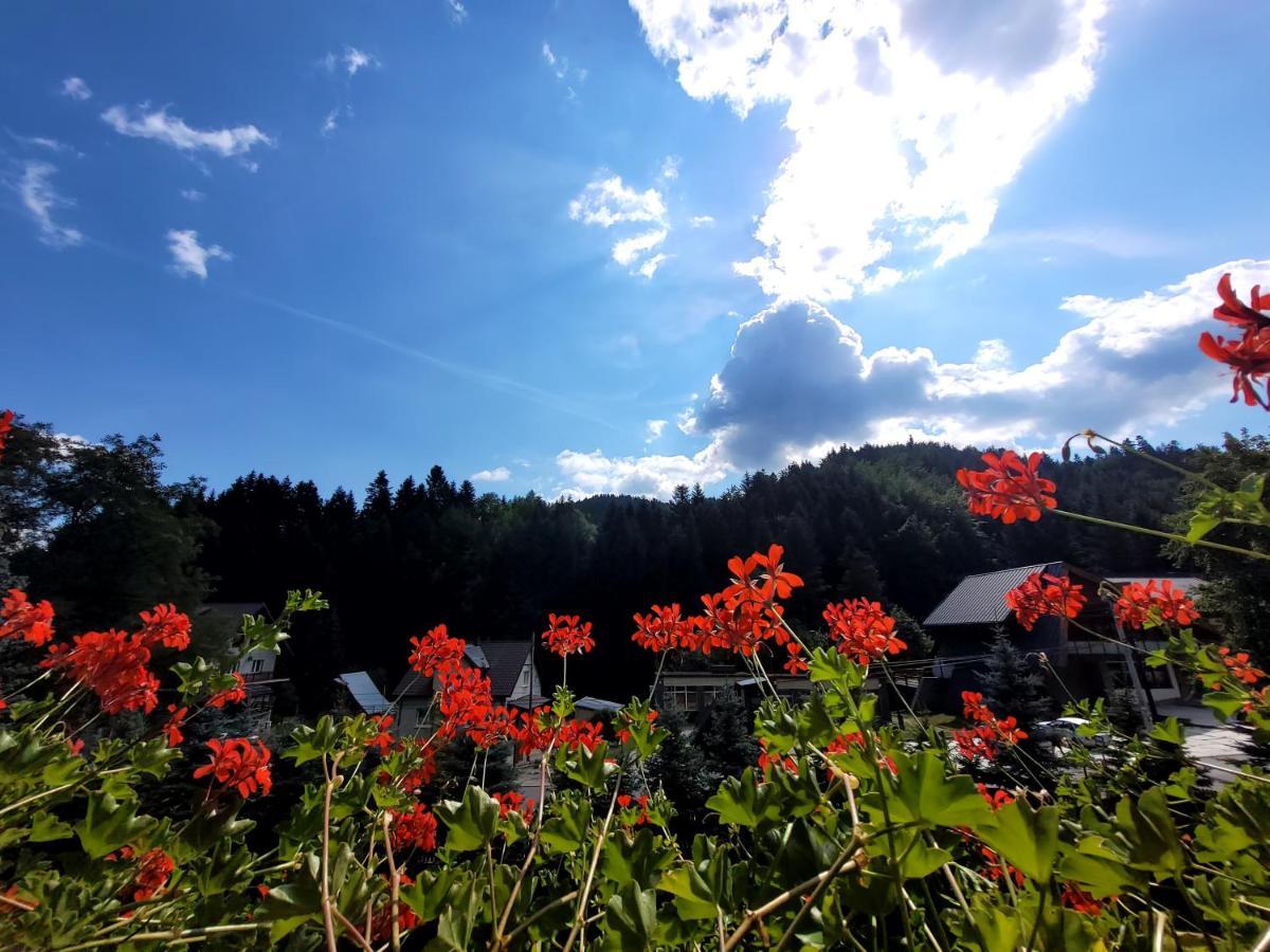 Rezydencja Lesny Dwor Piwniczna-Zdroj エクステリア 写真