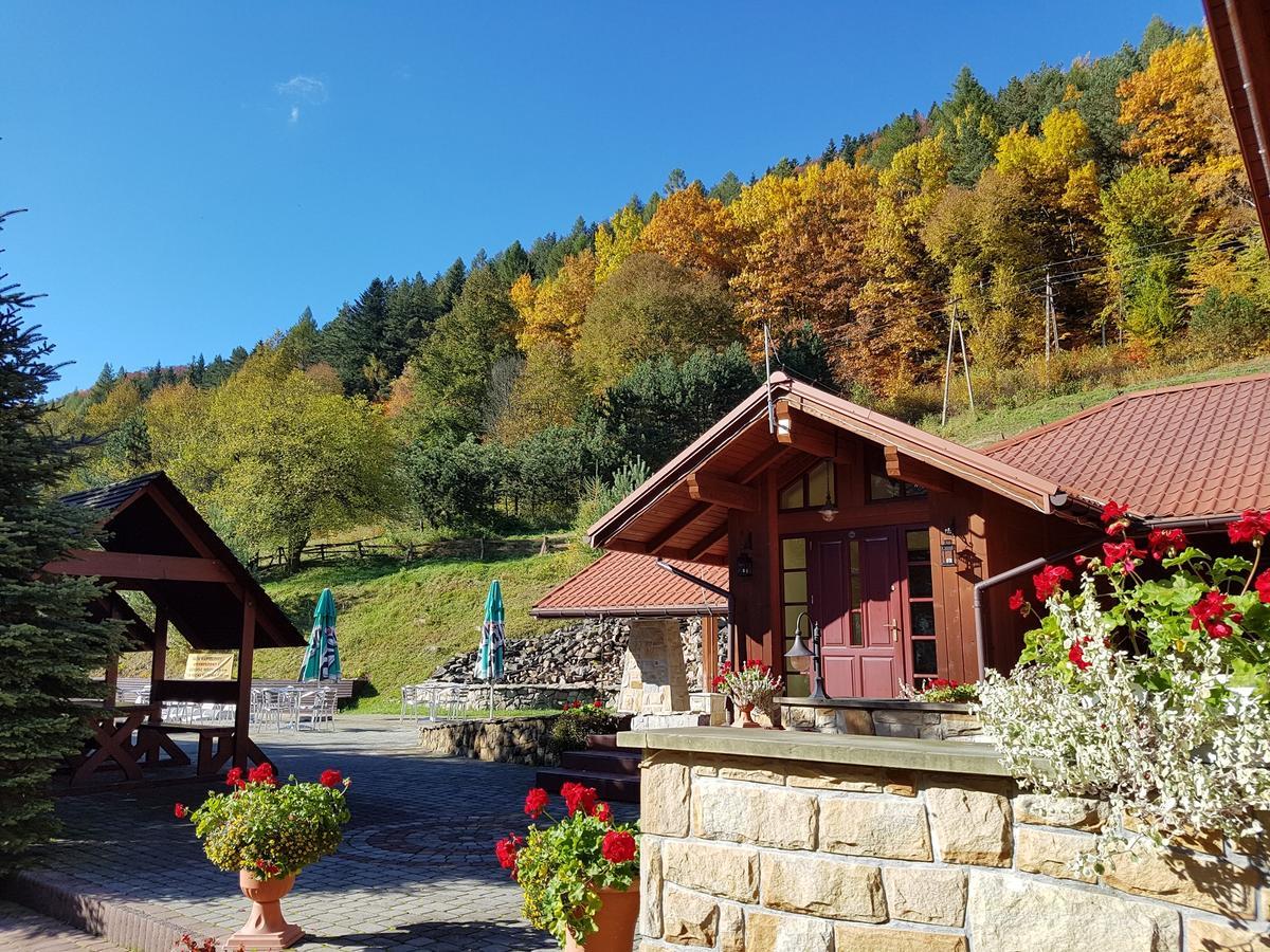 Rezydencja Lesny Dwor Piwniczna-Zdroj エクステリア 写真