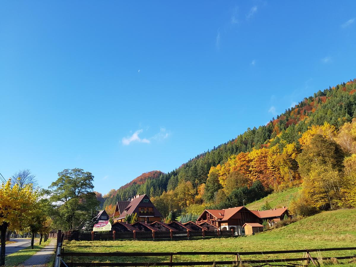 Rezydencja Lesny Dwor Piwniczna-Zdroj エクステリア 写真